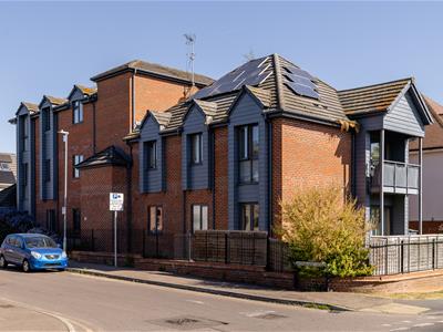 Picture 27
